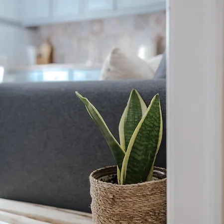 Casa Da Sereia Leiria